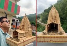 शिक्षक पंकज की एक और कलाकृति, माचिस की 20 हजार तिल्लियों से बनाई राहु मंदिर पैठाणी की प्रतिकृति