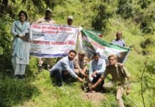 हरेला पर्व पर वीर पुरिया नैथानी की पैतृक जन्म स्थली में किया गया पौध रोपण कार्यक्रम