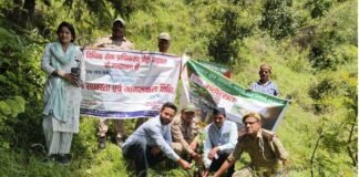 हरेला पर्व पर वीर पुरिया नैथानी की पैतृक जन्म स्थली में किया गया पौध रोपण कार्यक्रम