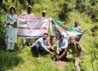 हरेला पर्व पर वीर पुरिया नैथानी की पैतृक जन्म स्थली में किया गया पौध रोपण कार्यक्रम