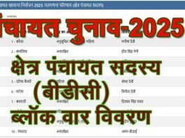 गांव की सरकार: प्रधान के बाद अब जानें कौन बना आपके क्षेत्र का क्षेत्र पंचायत सदस्य, देखें सूची