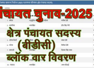 गांव की सरकार: प्रधान के बाद अब जानें कौन बना आपके क्षेत्र का क्षेत्र पंचायत सदस्य, देखें सूची