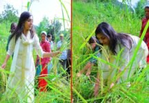 डीएम स्वाति भदौरिया ने डुंगरी गांव पहुंचकर ग्रामीणों संग की धान की कटाई, मंडाई में भी हुई शामिल