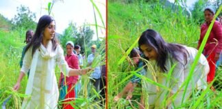 डीएम स्वाति भदौरिया ने डुंगरी गांव पहुंचकर ग्रामीणों संग की धान की कटाई, मंडाई में भी हुई शामिल