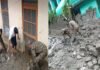 थराली आपदा: सीएम धामी ने दुःख जताया Tharali disaster