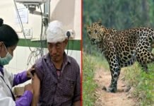 पौड़ी गढ़वाल: खेत में काम कर रहे शख्स पर गुलदार ने किया हमला, गंभीर रूप से घायल