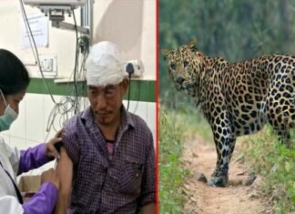 पौड़ी गढ़वाल: खेत में काम कर रहे शख्स पर गुलदार ने किया हमला, गंभीर रूप से घायल