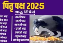 पितृ पक्ष 2025: कब से शुरू हो रहे हैं श्राद्ध? जानिए पितृपक्ष में कौन तिथि किस दिन होगी Pitru Paksha 2025-When Shradh starting which date Pitra Paksha