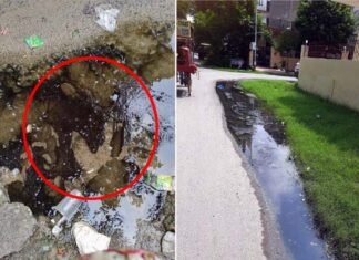 ग्रेटर नोएडा के बीटा-2 सेक्टर में सीवर लाइन की समस्या गहराई, घरों के बाहर बह रहा गंदा पानी