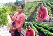 सफलता की कहानी: मेहनत, लगन और आत्मविश्वास की मिसाल- रोशमा देवी तीलू रौतेली पुरस्कार हेतु चयनित Roshma Devi Teelu Rauteli Award