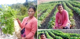 सफलता की कहानी: मेहनत, लगन और आत्मविश्वास की मिसाल- रोशमा देवी तीलू रौतेली पुरस्कार हेतु चयनित Roshma Devi Teelu Rauteli Award