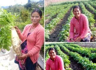 सफलता की कहानी: मेहनत, लगन और आत्मविश्वास की मिसाल- रोशमा देवी तीलू रौतेली पुरस्कार हेतु चयनित Roshma Devi Teelu Rauteli Award