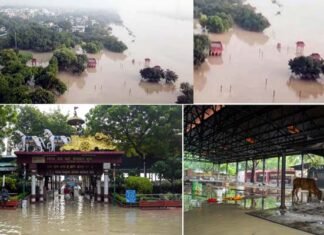 दिल्ली एनसीआर में बारिश का कहर, यमुना नदी का जलस्तर 207 मीटर के पार, गीता कॉलोनी श्मशान घाट में घुसा यमुना का पानी, आसपास के इलाकों में भी भरा बाढ का पानी Yamuna water enters Geeta Colony crematorium