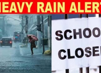 उत्तराखंड में भारी बारिश का रेड अलर्ट, 2 सितंबर को इन जिलों में बंद रहेंगे सभी स्कूल, चारधाम यात्रा पांच सितंबर तक स्थगित heavy-rain-alert-school-closed-in-uttarakhand