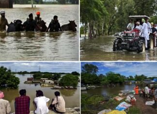 पंजाब में बाढ़ से तबाही, 1400 गांव आये चपेट में, 4.5 लाख लोग प्रभावित, 37 की मौत, हरियाणा, हिमाचल और जम्मू-कश्मीर में भी बारिश-बाढ़ से बुरा हाल