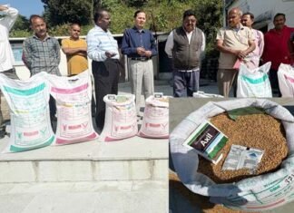 आईसीएआर द्वारा देहरादून के किसानों को नई गेहूँ की किस्में उपलब्ध कराई गईं Sports activities resonate in Pauri on the occasion of State Foundation Day.