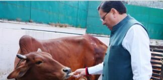 गोवर्धन पूजा के अवसर पर मुख्यमंत्री धामी ने किया गौ पूजन
