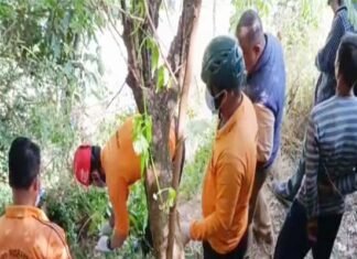 रुद्रप्रयाग: गुलदार ने गौशाला जा रहे ग्रामीण को बनाया निवाला, घटनास्थल से 200 मीटर दूर मिला शव