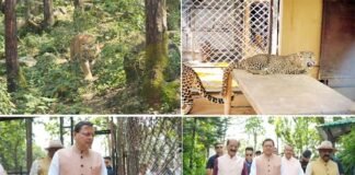 उत्तराखंड सरकार ने वन्यजीवों के हमलों में मारे गए लोगों के परिवारों के लिए मुआवजा राशि बढ़ाकर की 10 लाख रुपये