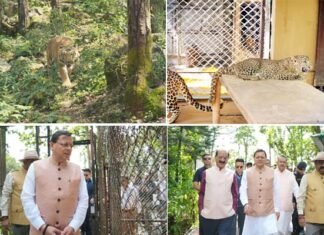 उत्तराखंड सरकार ने वन्यजीवों के हमलों में मारे गए लोगों के परिवारों के लिए मुआवजा राशि बढ़ाकर की 10 लाख रुपये