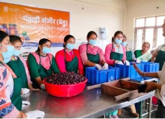 पौड़ी जनपद के बेडू को मिला GI टैग, अब बेडू बनेगा पौड़ी की पहचान, किसानों को मिलेगा आर्थिक लाभ