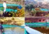 पौड़ी गढ़वाल के केवर्स गांव का युवा मत्स्य किसान बना स्वावलंबन की मिसाल fish farming in Kevars village