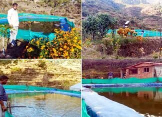 पौड़ी गढ़वाल के केवर्स गांव का युवा मत्स्य किसान बना स्वावलंबन की मिसाल fish farming in Kevars village
