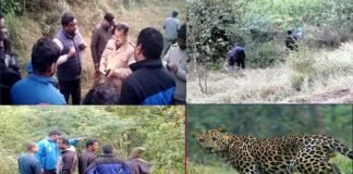 पौड़ी गढ़वाल: घास काटने गई महिला को गुलदार ने उतारा मौत के घाट, आसपास के क्षेत्रों में दहशत का महौल