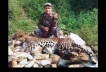 पौड़ी के गजल्ड गांव में आदमखोर गुलदार को शिकारी जॉय हुकिल ने किया ढेर, ग्रामीणों ने ली राहत की सांस