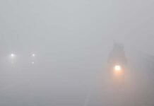 दिल्ली-NCR में अभी दो दिन और रहेगा कोहरे का कहर, नए साल पर बारिश के आसार