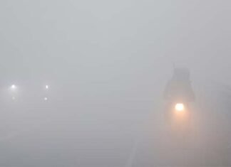 दिल्ली-NCR में अभी दो दिन और रहेगा कोहरे का कहर, नए साल पर बारिश के आसार