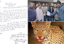 4 साल के मासूम पर गुलदार ने किया हमला, ग्रामीणों में आक्रोश