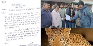 4 साल के मासूम पर गुलदार ने किया हमला, ग्रामीणों में आक्रोश
