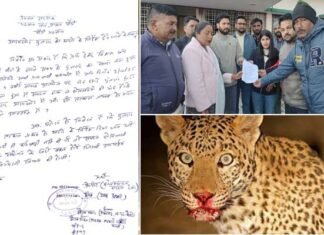 4 साल के मासूम पर गुलदार ने किया हमला, ग्रामीणों में आक्रोश