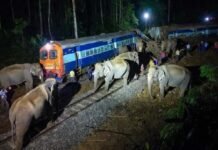 असम में बड़ा ट्रेन हादसा, राजधानी एक्सप्रेस से टकराया हाथियों का झुंड, 8 की मौत, 5 डिब्बे पटरी से उतरे herd of elephants collided with the Rajdhani Express train