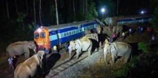 असम में बड़ा ट्रेन हादसा, राजधानी एक्सप्रेस से टकराया हाथियों का झुंड, 8 की मौत, 5 डिब्बे पटरी से उतरे herd of elephants collided with the Rajdhani Express train