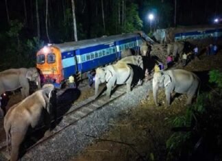 असम में बड़ा ट्रेन हादसा, राजधानी एक्सप्रेस से टकराया हाथियों का झुंड, 8 की मौत, 5 डिब्बे पटरी से उतरे herd of elephants collided with the Rajdhani Express train