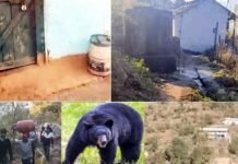 पौड़ी गढ़वाल: भालू की दहशत से खाली हुआ पूरा गांव, घरों पर लटके ताले, आखिरी परिवार ने भी दूसरी जगह ली शरण bhalu ki dahashat pauri garhwal me