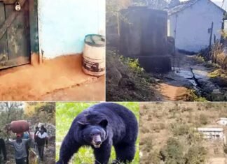 पौड़ी गढ़वाल: भालू की दहशत से खाली हुआ पूरा गांव, घरों पर लटके ताले, आखिरी परिवार ने भी दूसरी जगह ली शरण bhalu ki dahashat pauri garhwal me