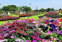 ग्रेटर नोएडा: सिटी पार्क में लगेगी पुष्प प्रदर्शनी, चौराहों, ग्रीन बेल्ट और सड़कों के सेंट्रल वर्ज पर भी दिखेगा पुष्प प्रदर्शनी का थीम फ्लावर ‘कैलेंडुला‘ flower show city park greater noida