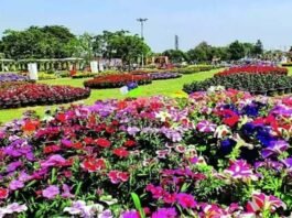 ग्रेटर नोएडा: सिटी पार्क में लगेगी पुष्प प्रदर्शनी, चौराहों, ग्रीन बेल्ट और सड़कों के सेंट्रल वर्ज पर भी दिखेगा पुष्प प्रदर्शनी का थीम फ्लावर ‘कैलेंडुला‘ flower show city park greater noida