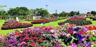 ग्रेटर नोएडा: सिटी पार्क में लगेगी पुष्प प्रदर्शनी, चौराहों, ग्रीन बेल्ट और सड़कों के सेंट्रल वर्ज पर भी दिखेगा पुष्प प्रदर्शनी का थीम फ्लावर ‘कैलेंडुला‘ flower show city park greater noida