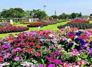 ग्रेटर नोएडा: सिटी पार्क में लगेगी पुष्प प्रदर्शनी, चौराहों, ग्रीन बेल्ट और सड़कों के सेंट्रल वर्ज पर भी दिखेगा पुष्प प्रदर्शनी का थीम फ्लावर ‘कैलेंडुला‘ flower show city park greater noida