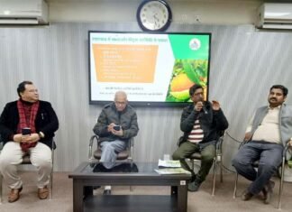 माल्टा को स्टेट फ्रूट का दर्जा देने की मांग, सिट्रस फल बदल सकते हैं पहाड़ के आर्थिक तंत्र का चेहरा