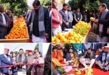 मुख्यमंत्री ने किया उत्तराखंड माल्टा महोत्सव का शुभारंभ, राज्य में माल्टा मिशन शुरू करने की घोषणा