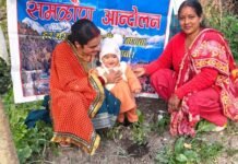 जन्मदिवस पर पौधारोपण कर दिया पर्यावरण संरक्षण का संदेश