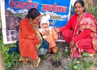 जन्मदिवस पर पौधारोपण कर दिया पर्यावरण संरक्षण का संदेश