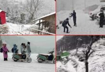 उत्तराखंड में हुई जमकर बर्फबारी, सफेद चादर में लिपटे पहाड़, ट्रेंडिंग में है पहाड़ों की रानी मसूरी