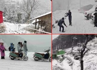 उत्तराखंड में हुई जमकर बर्फबारी, सफेद चादर में लिपटे पहाड़, ट्रेंडिंग में है पहाड़ों की रानी मसूरी
