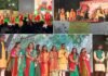 नंदा देवी गढ़-कुमौ की साझा सांस्कृतिक आस्था का प्रतीक: प्रोफेसर वेदवाल